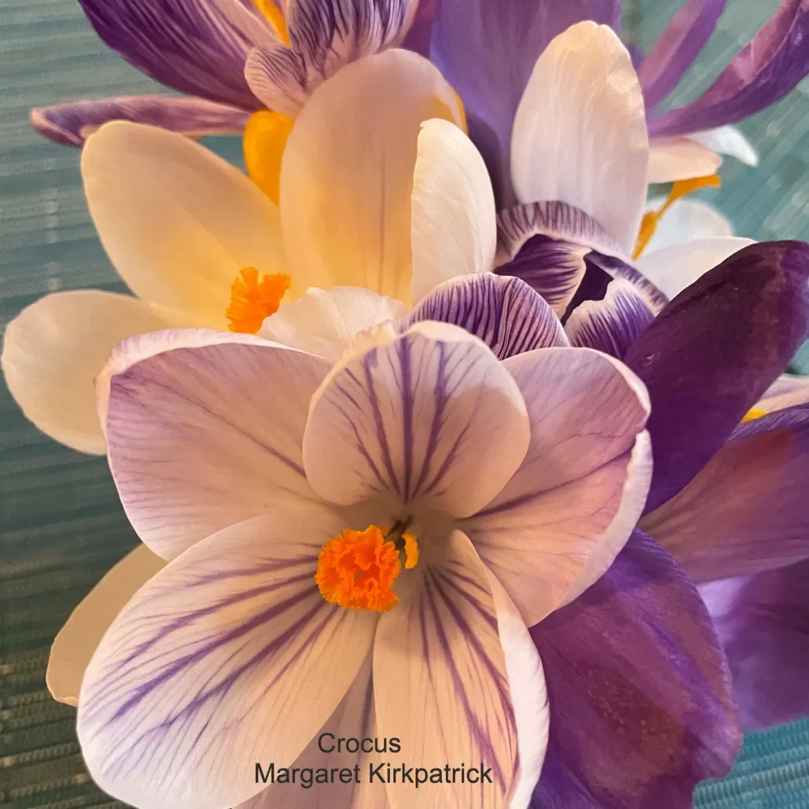 April Parlour Show 2025