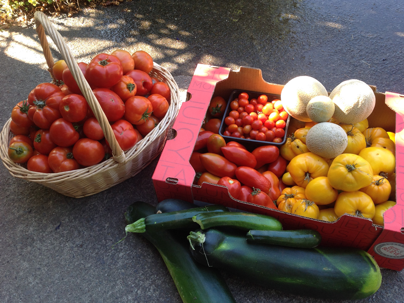 Fruits and Vegetables