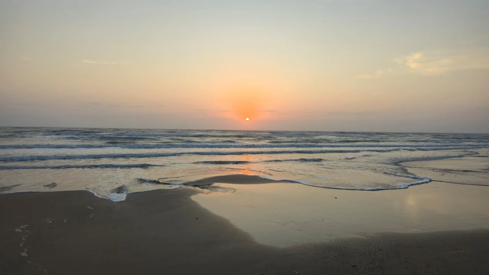 WhatsApp Image 2026-03-10 at 3.42.50 PM.jpeg