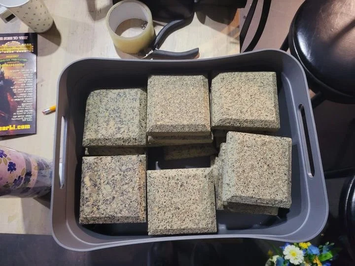 Accent Bricks Paint Treatment - Beautiful: The Carole King Musical at Gateway Playhouse 2024