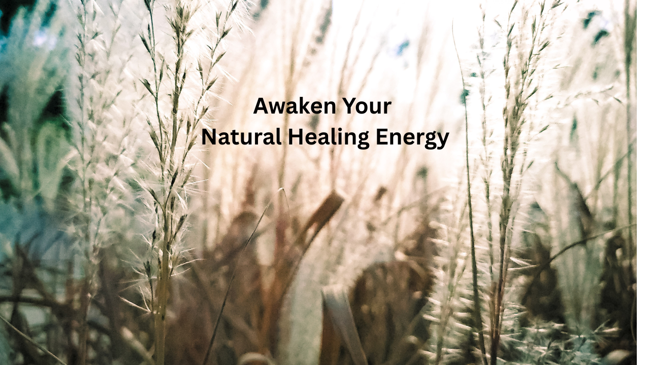 Reiki Level 1 In-person Training