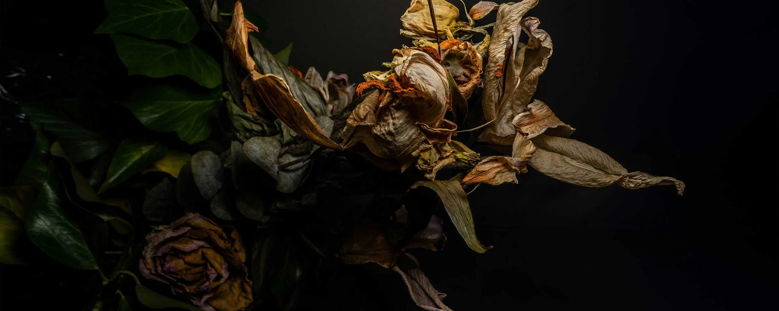 Deathics - Planning - Dried Flowers