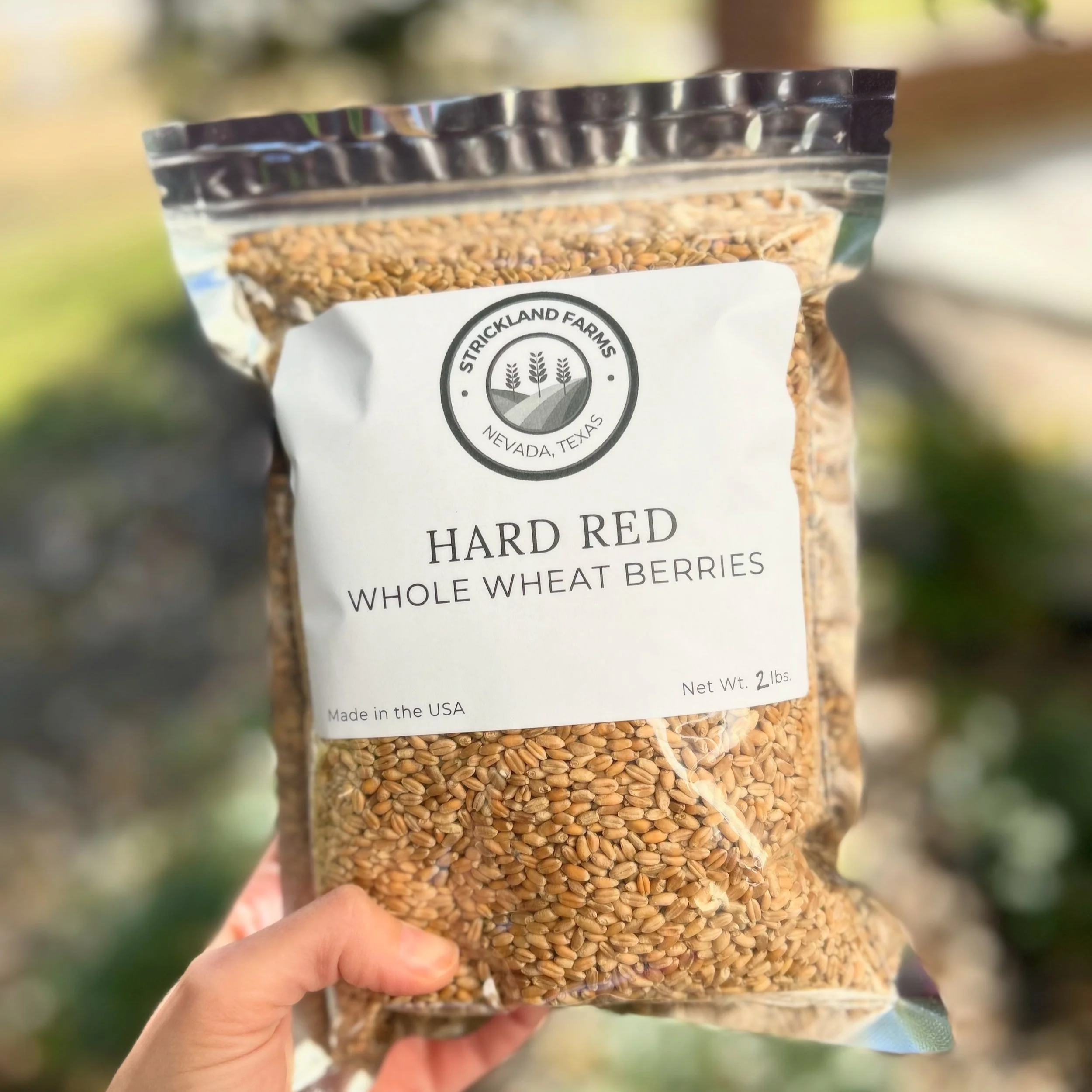 Hard Red Whole Wheat Berries