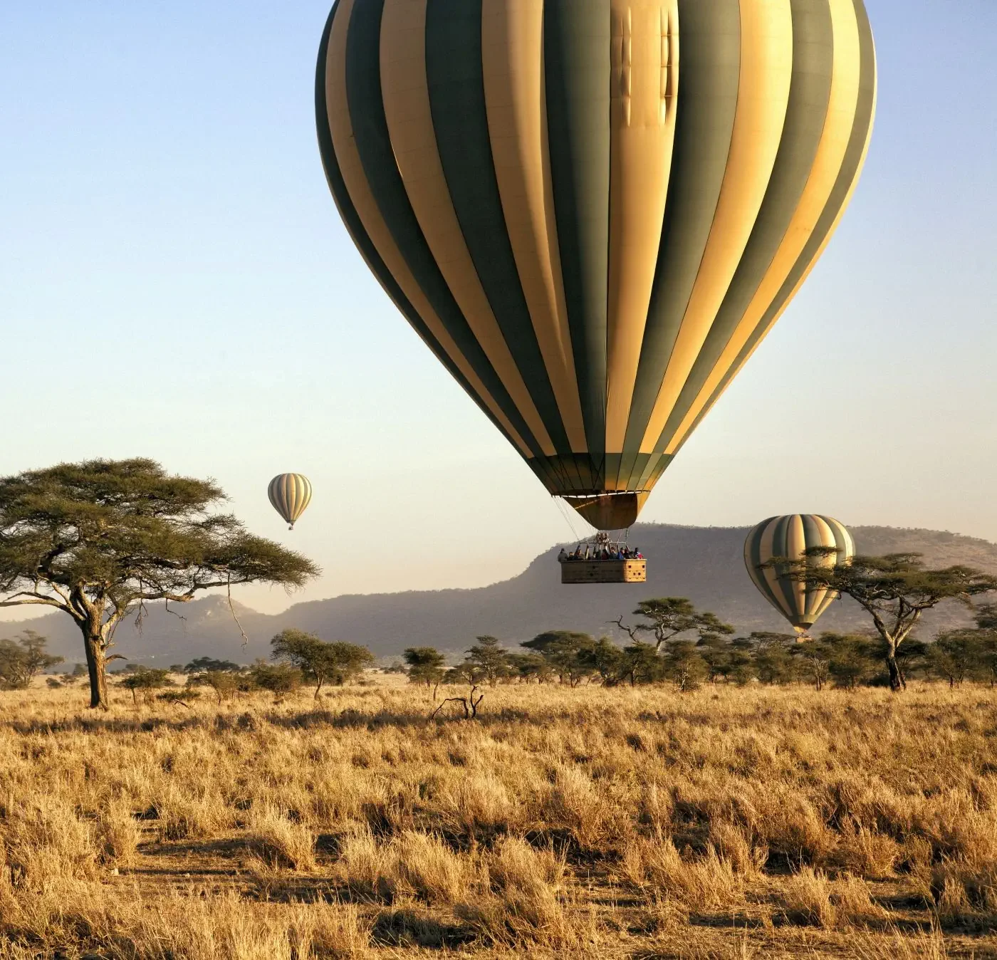 African Safaris, Expeditions, Natural Wonder travel