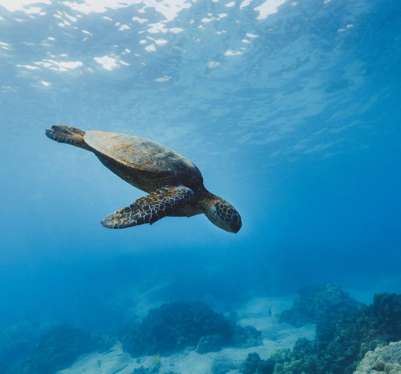 travel Galapagos Islands