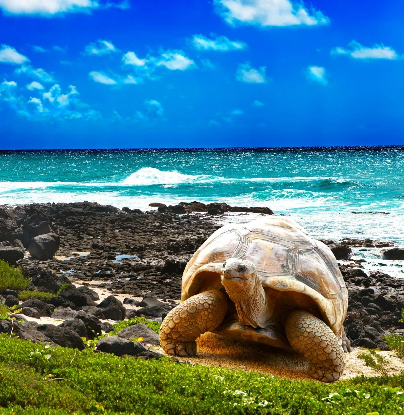 Galapagos Islands travel