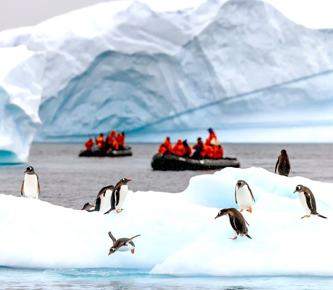 Antarctica Polar Expeditions Travel