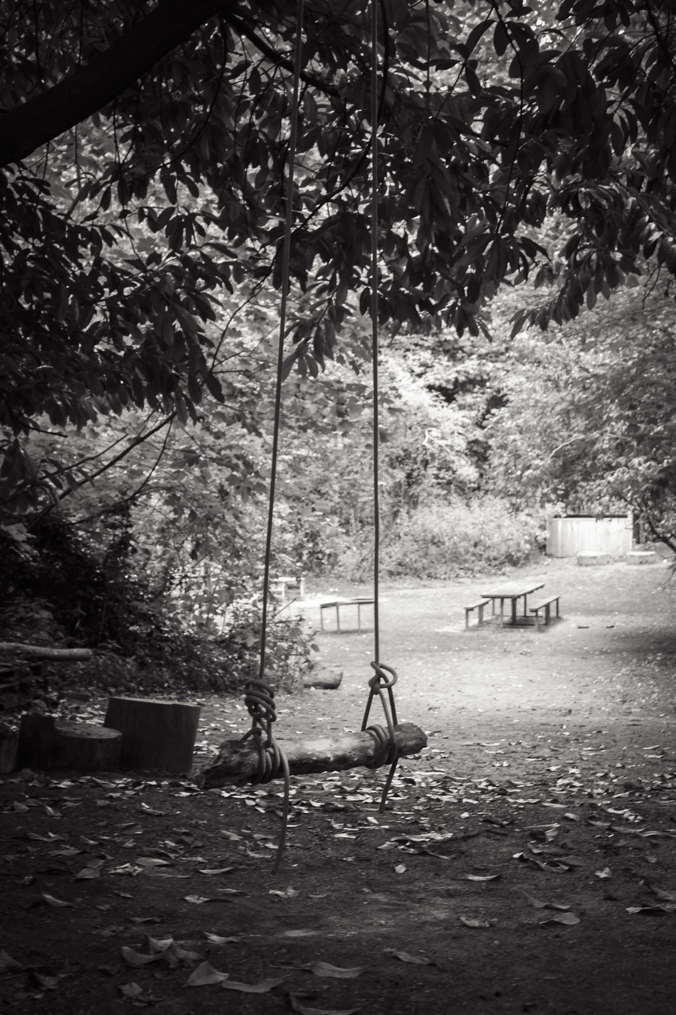 photography-courses-for-children-and-adults-surrey-33.jpg