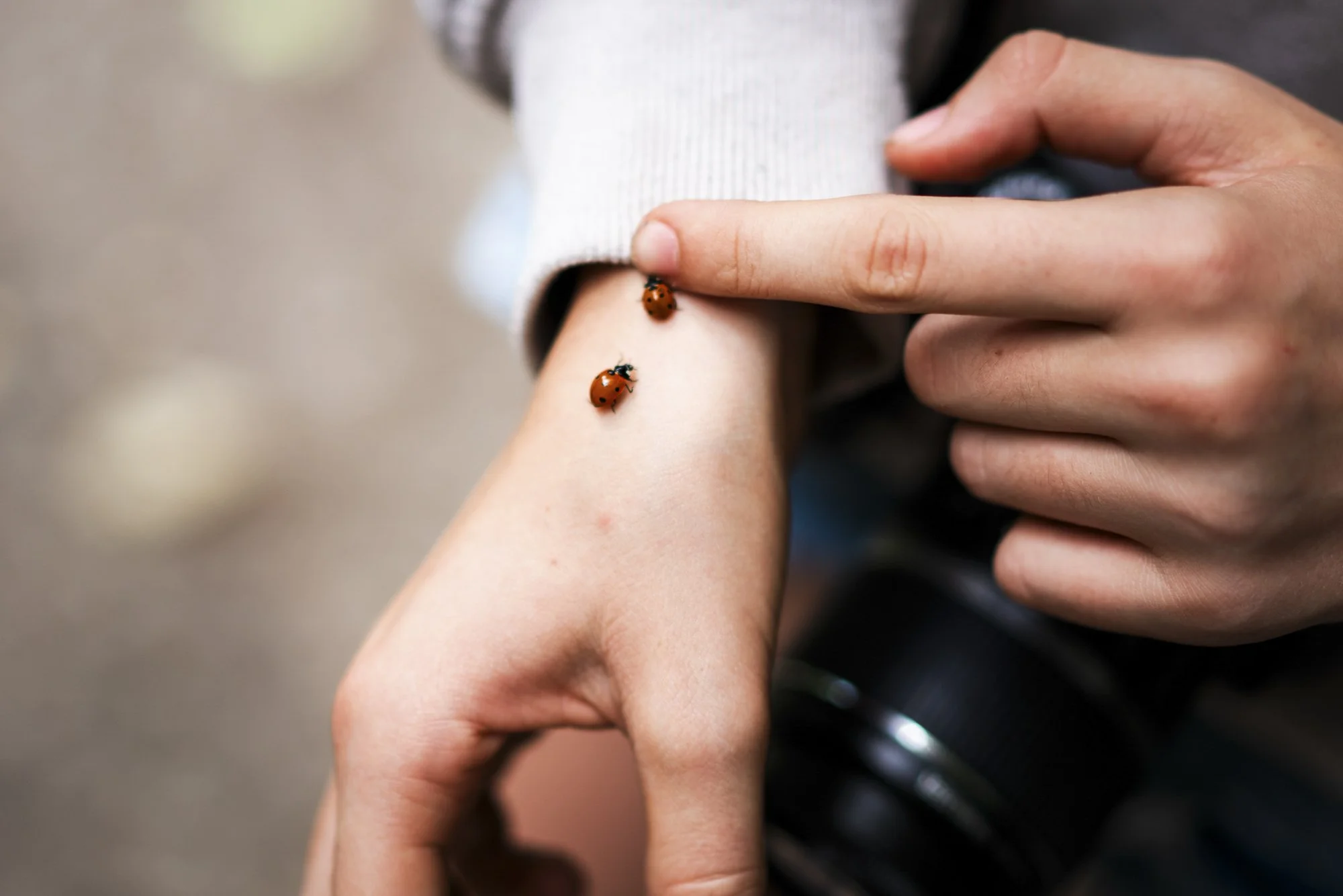 photography-courses-for-children-and-adults-surrey-10.jpg