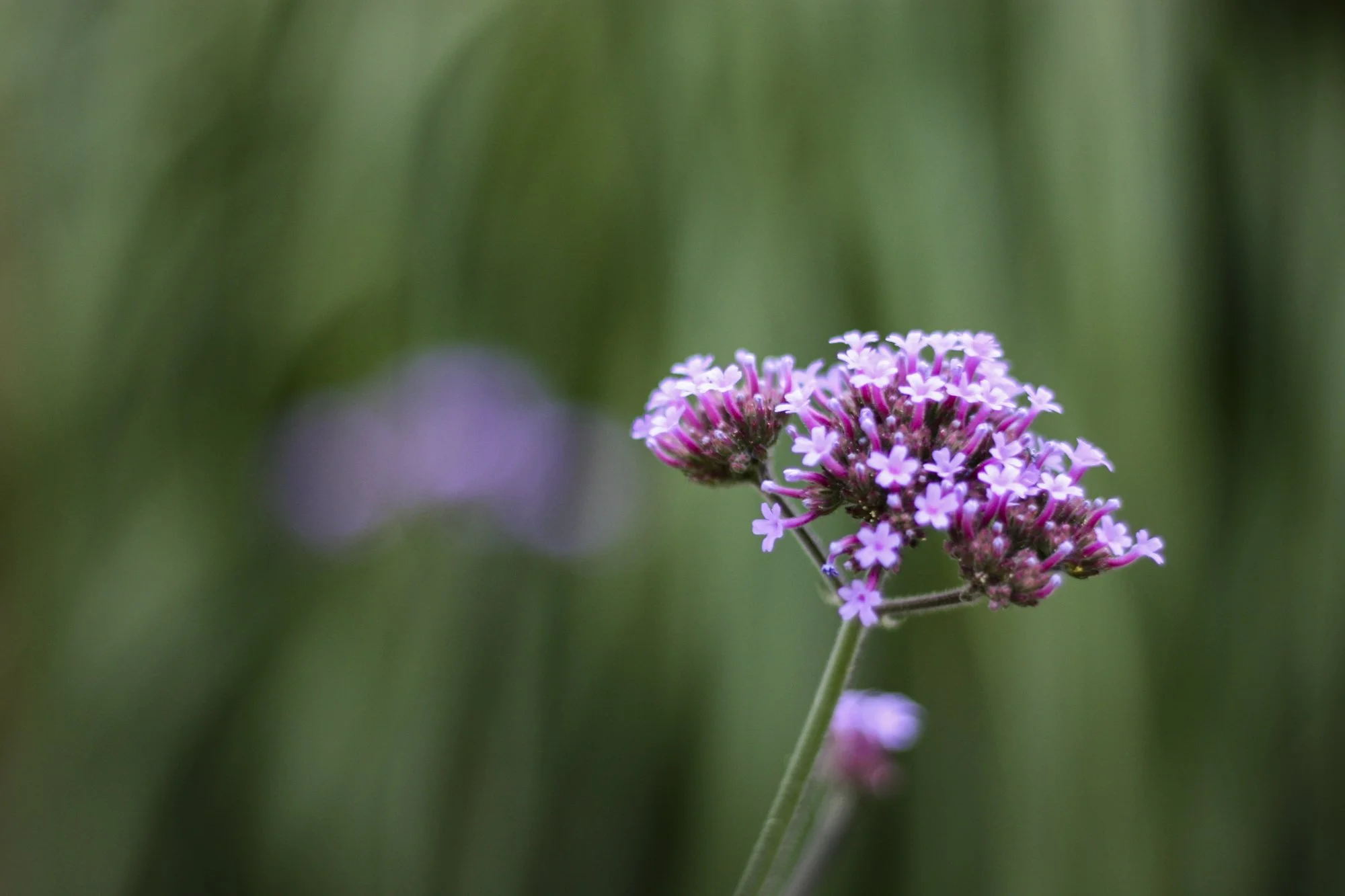 photography-courses-for-children-and-adults-surrey-12.jpg