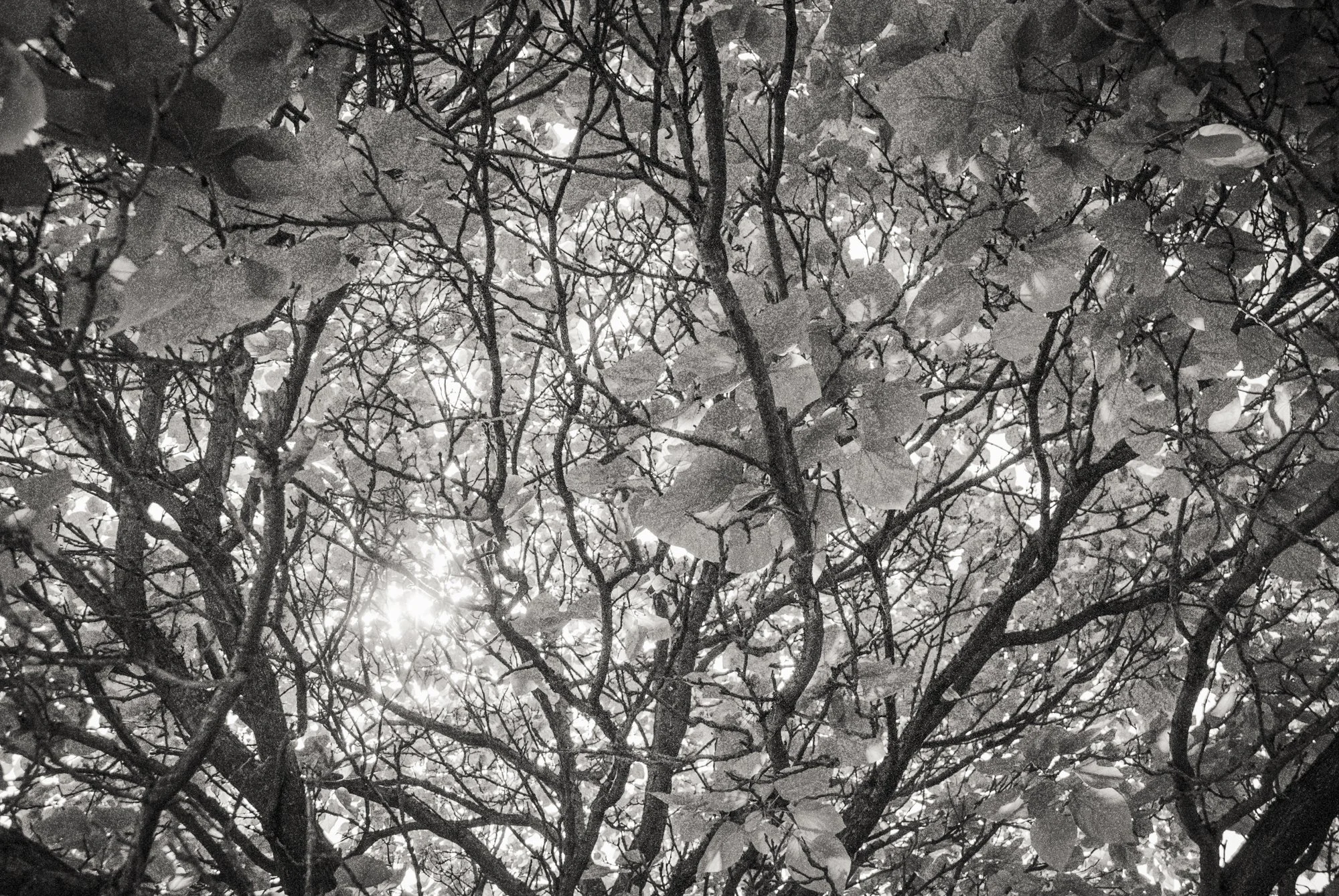 photography-courses-for-children-and-adults-surrey-26.jpg