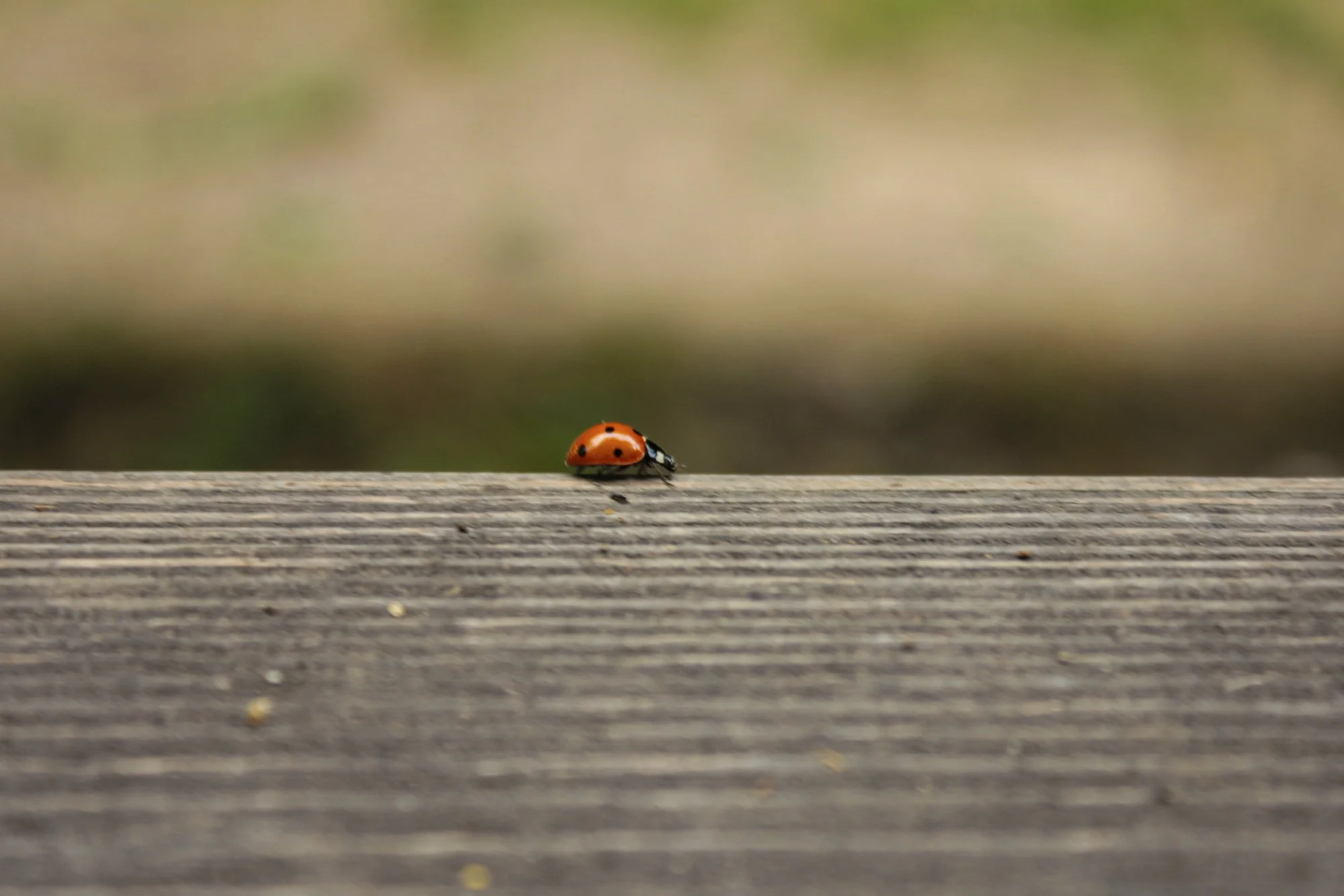 photography-courses-for-children-and-adults-surrey-32.jpg