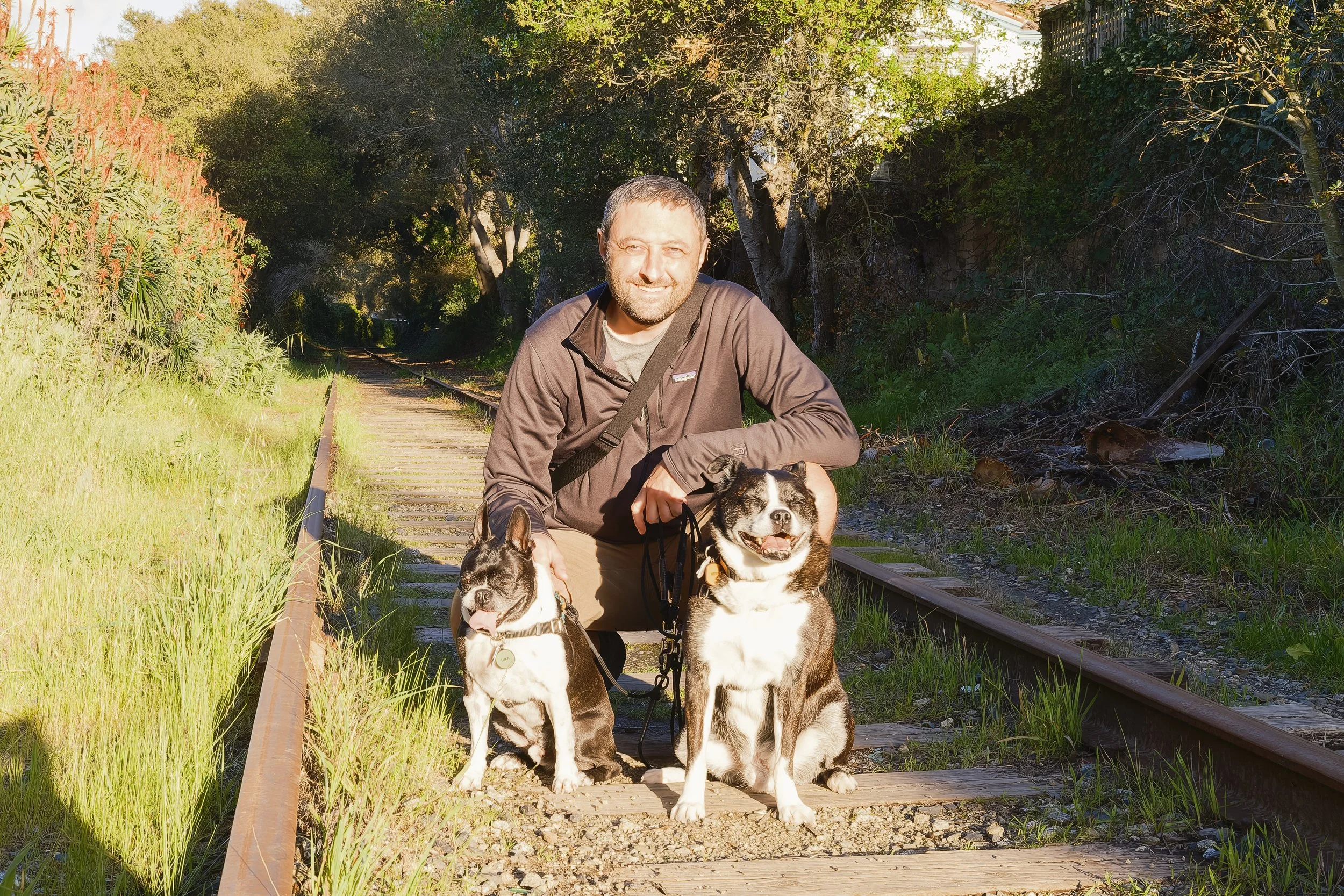 Two dogs having fun during a dog walk in Santa Cruz. Look for dog walking near me or Santa Cruz dog walkers, Santa Cruz Pet Care to find Dharma Dogs.