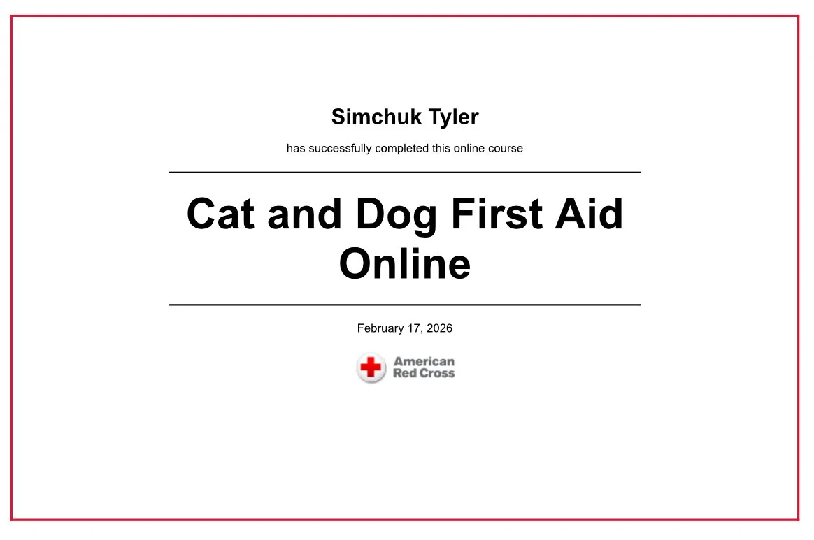 Course completion certificate for online dog and cat first aid course by Simchuk Tyler, issued by American Red Cross, dated February 17, 2026.