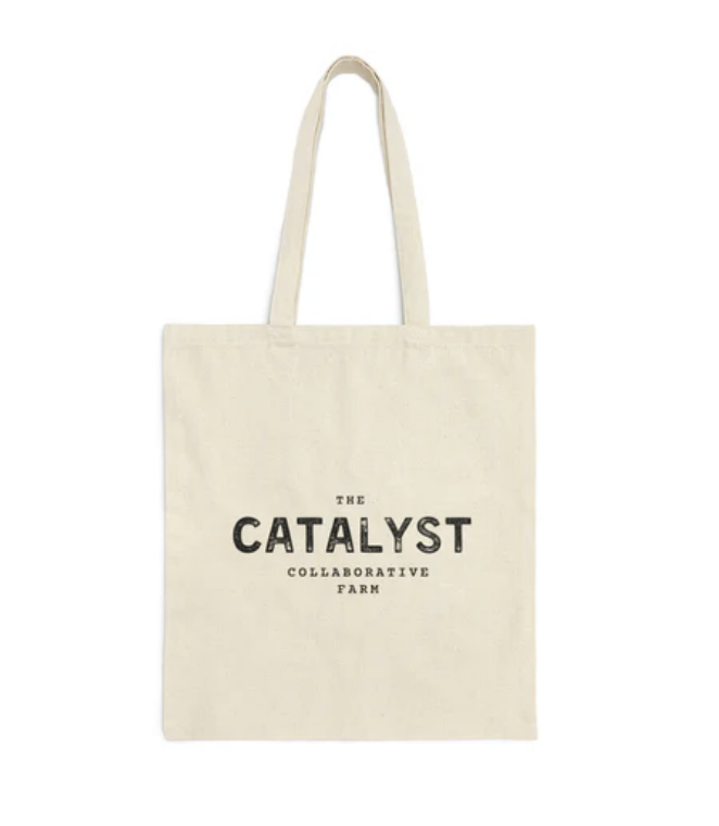 Screen Shot 2026-02-12 at 11.45.07 AM.png