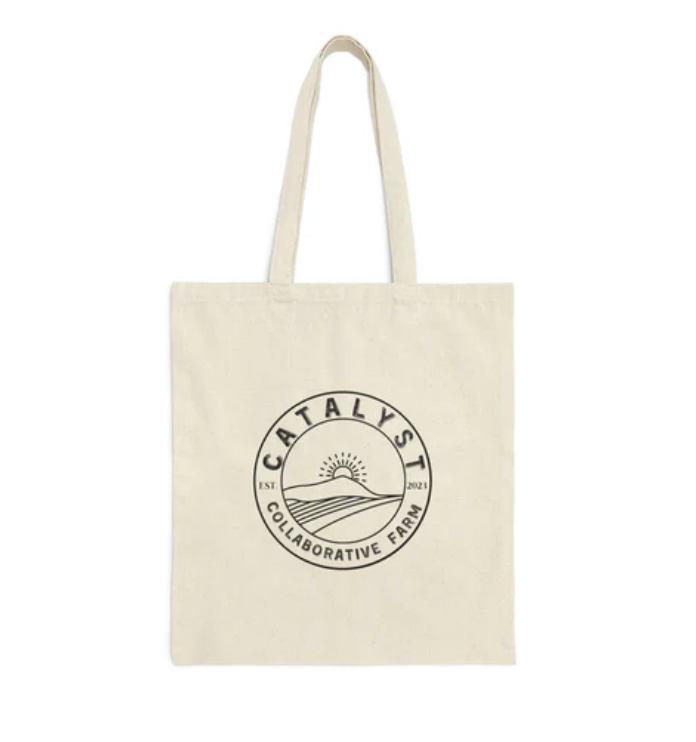 Screen Shot 2026-02-12 at 11.45.02 AM.png