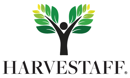 A stylized tree with a human figure as the trunk, and leaves forming the canopy in shades of green. Below, the word "HARVESTAFE" is written in bold black letters.