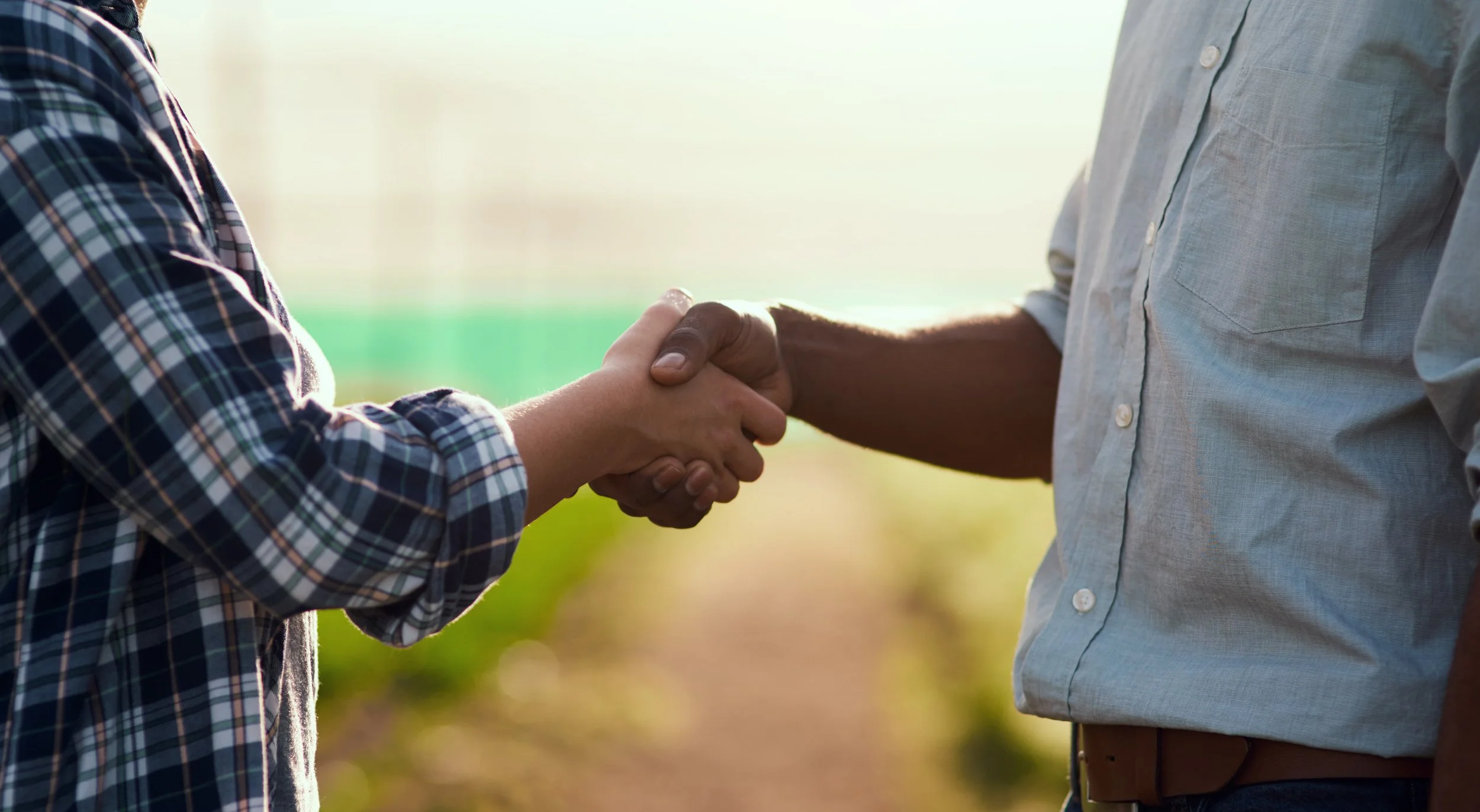 Two people shaking hands outdoors in sunlight, with grassy background.