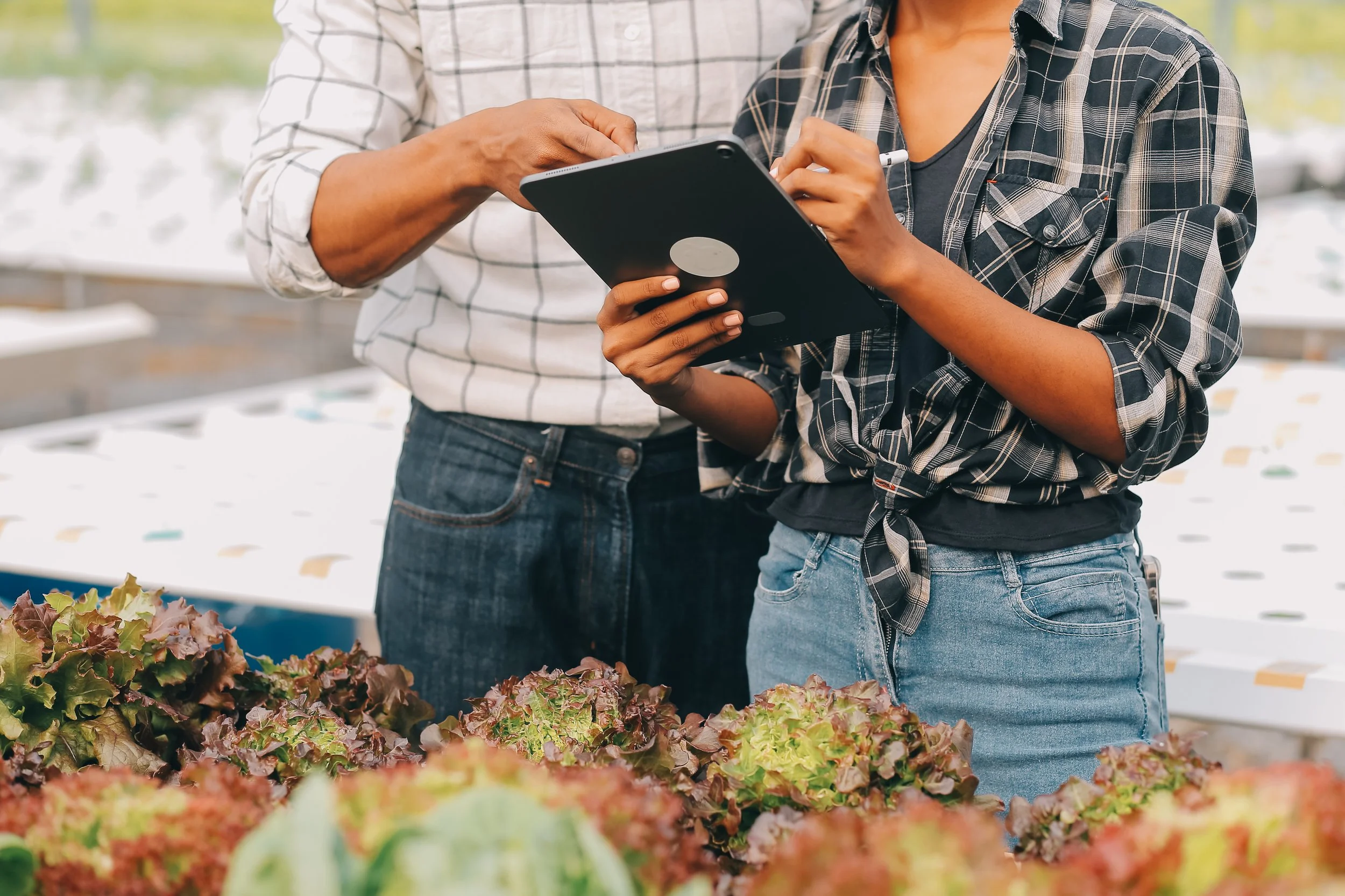 Two women standing in a greenhouse, examining plants. One woman is holding a tablet, and the other is pointing at it, with various leafy plants in front.