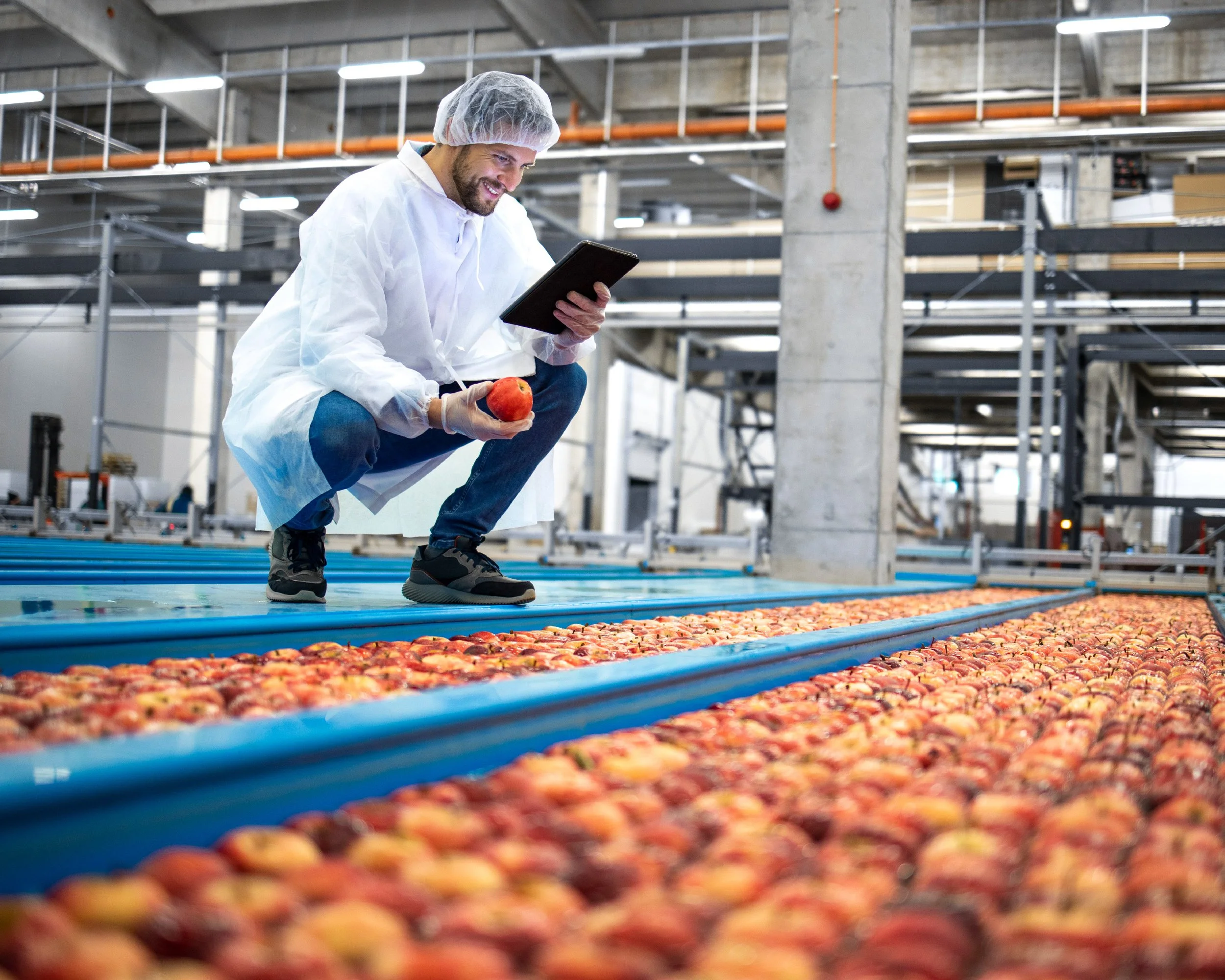 A man in a white lab coat, hairnet, and gloves crouching on the floor of a large indoor facility, examining a peach while holding a tablet. There are conveyor belts filled with peaches around him and industrial equipment in the background.