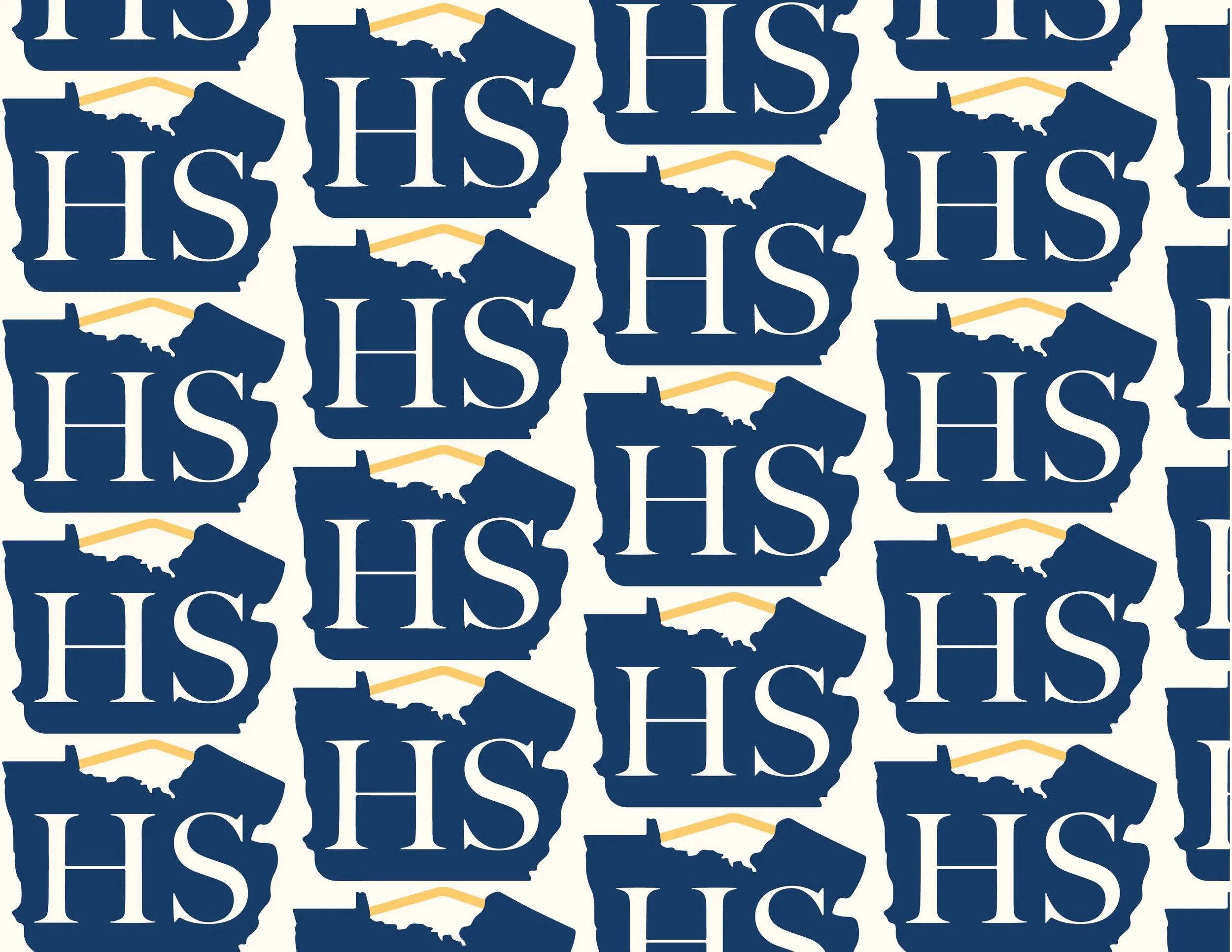 Haley Swick Branding Decisions copy6.jpg