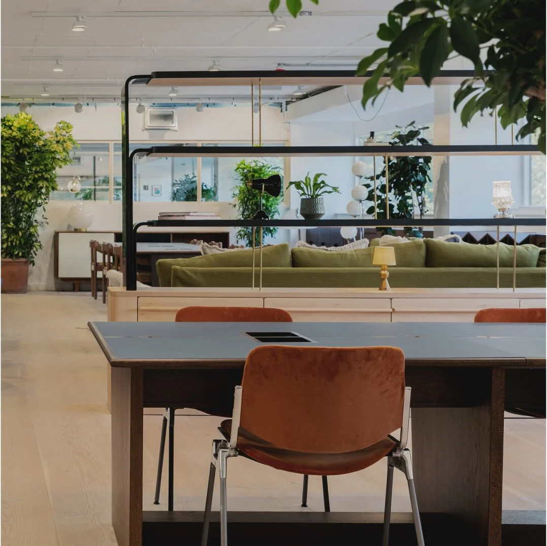 Rectangle 2 copy (1).jpg