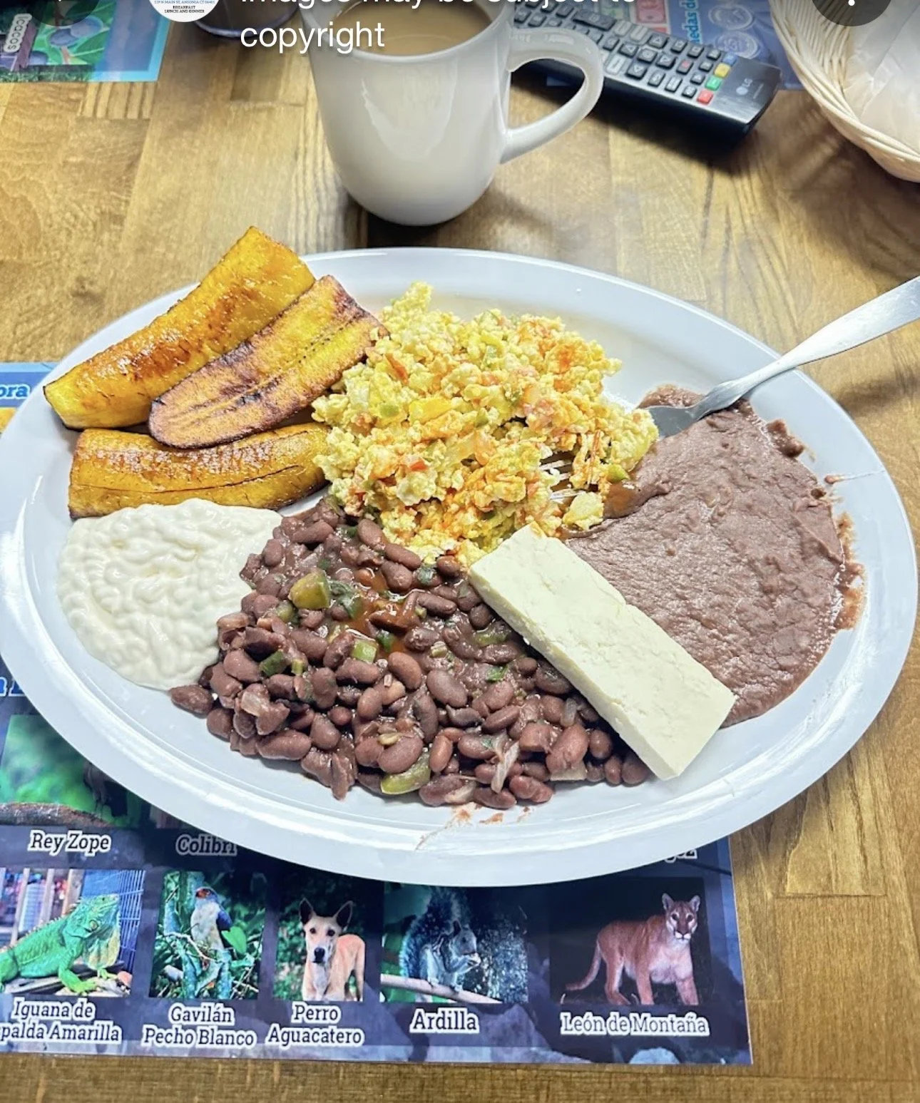 Authentic Salvadoran Breakfast Plate