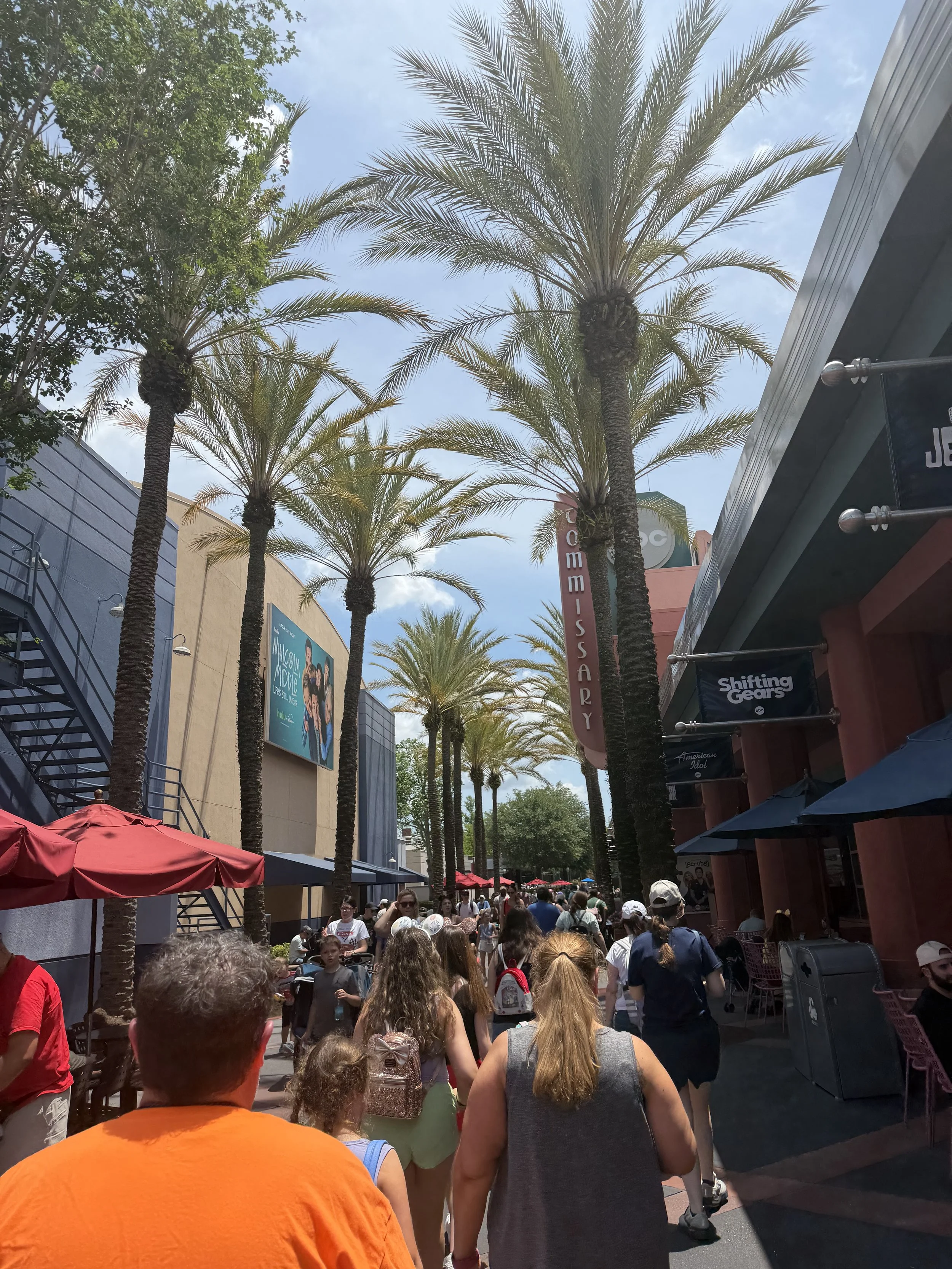 IMG_3516.jpeg