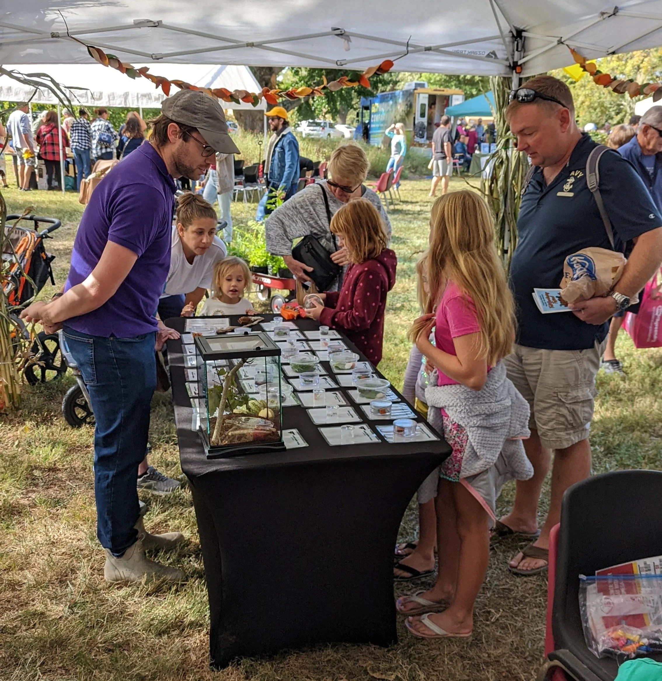 Children viewing an insect display
