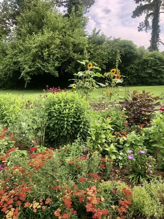 Pollinator garden at Francis Land House.