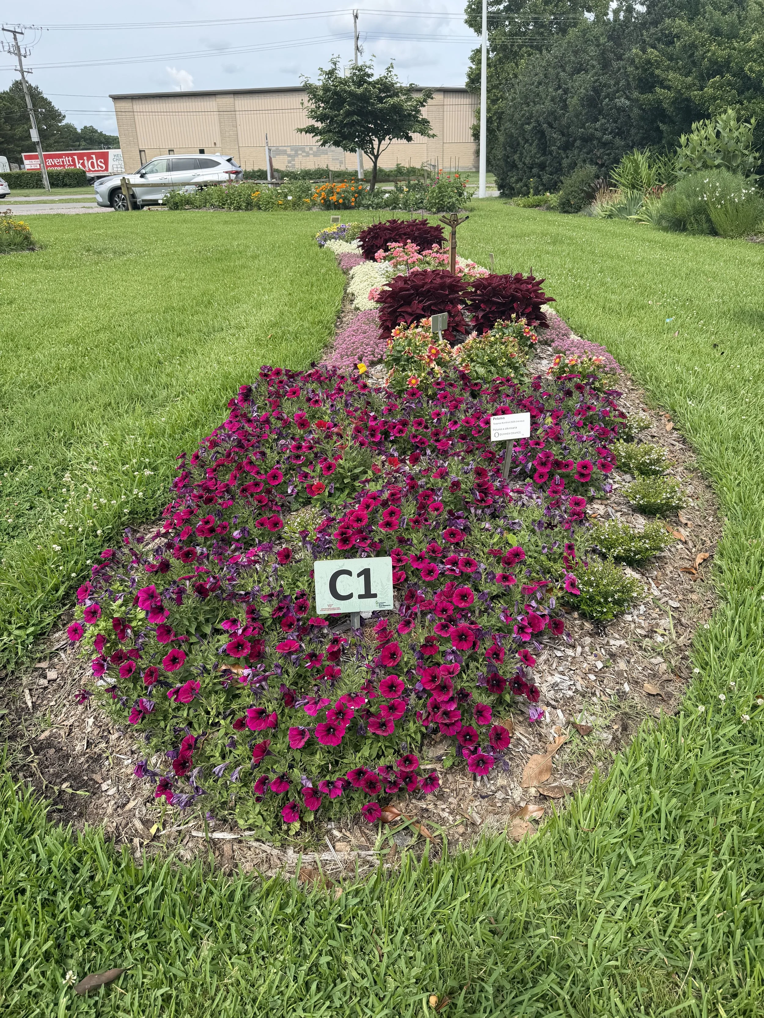 Trial Garden Bed C1
