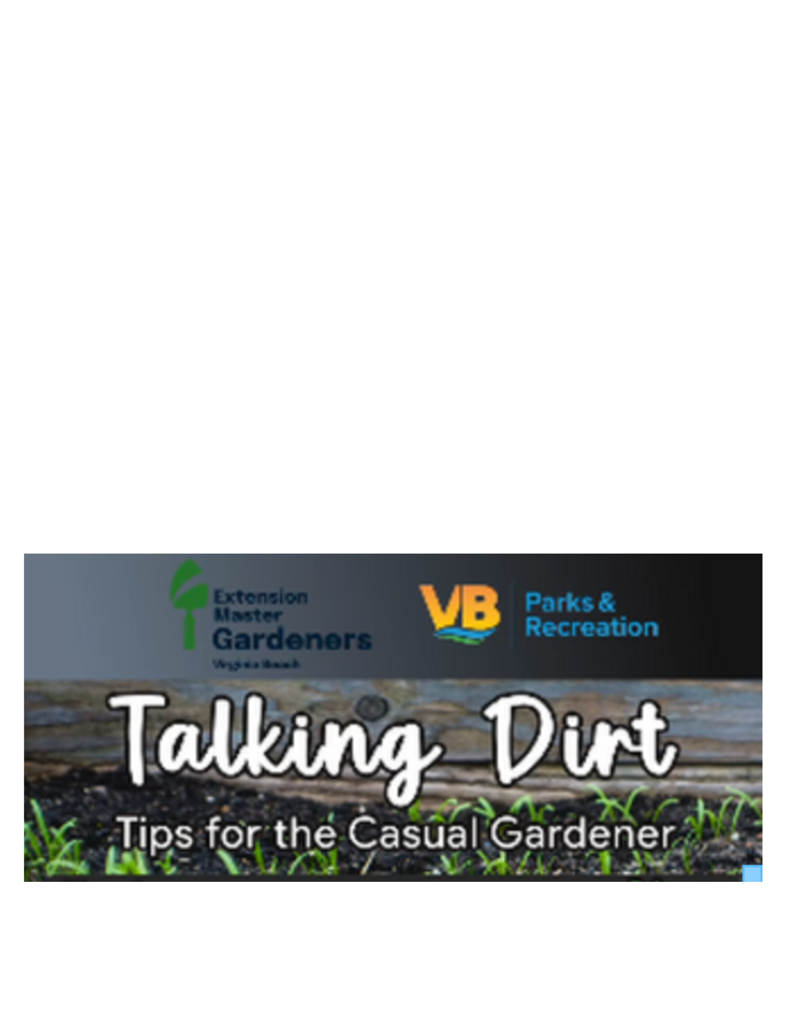 Talking Dirt - Defend Your Garden Against Common Spring Weeds 