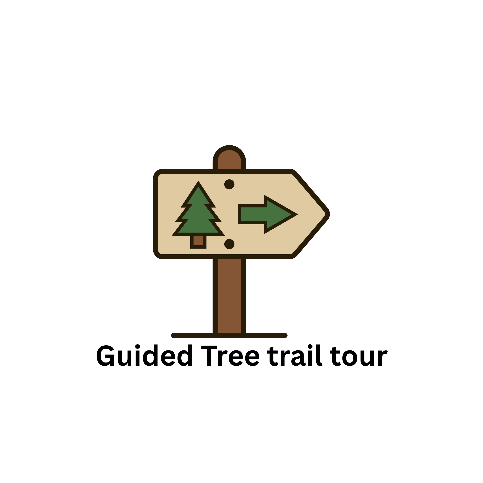 Guided Tree Trail Tour 