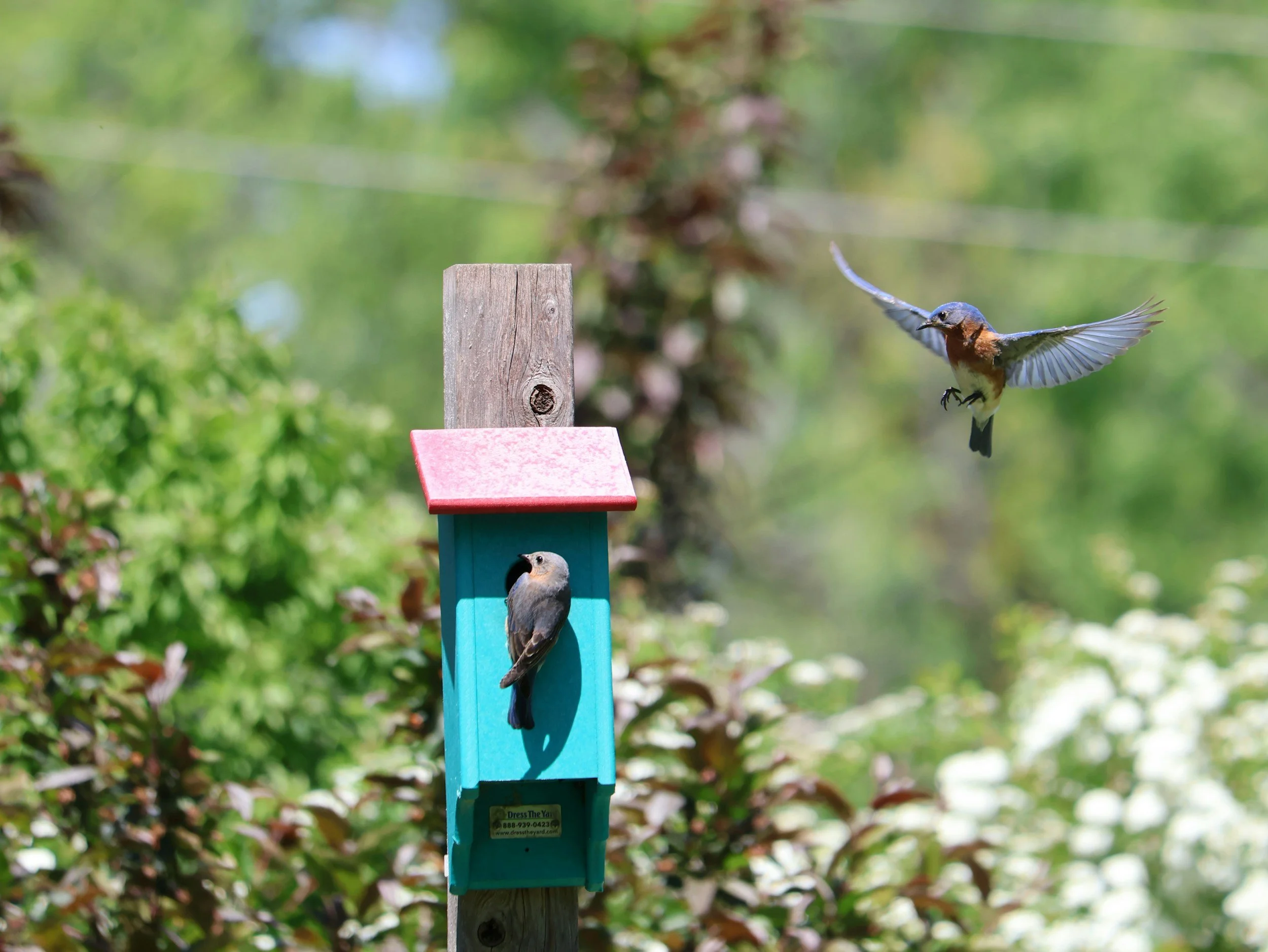 Demo - How To Build a Birdhouse