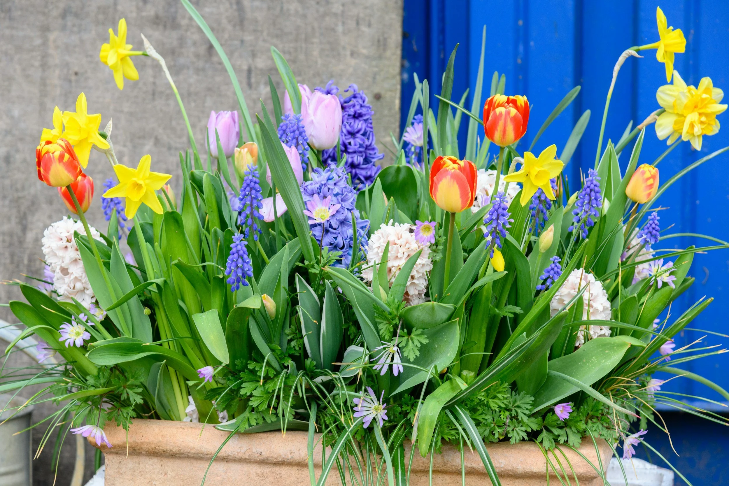 Demo - Container Layering with spring bulbs
