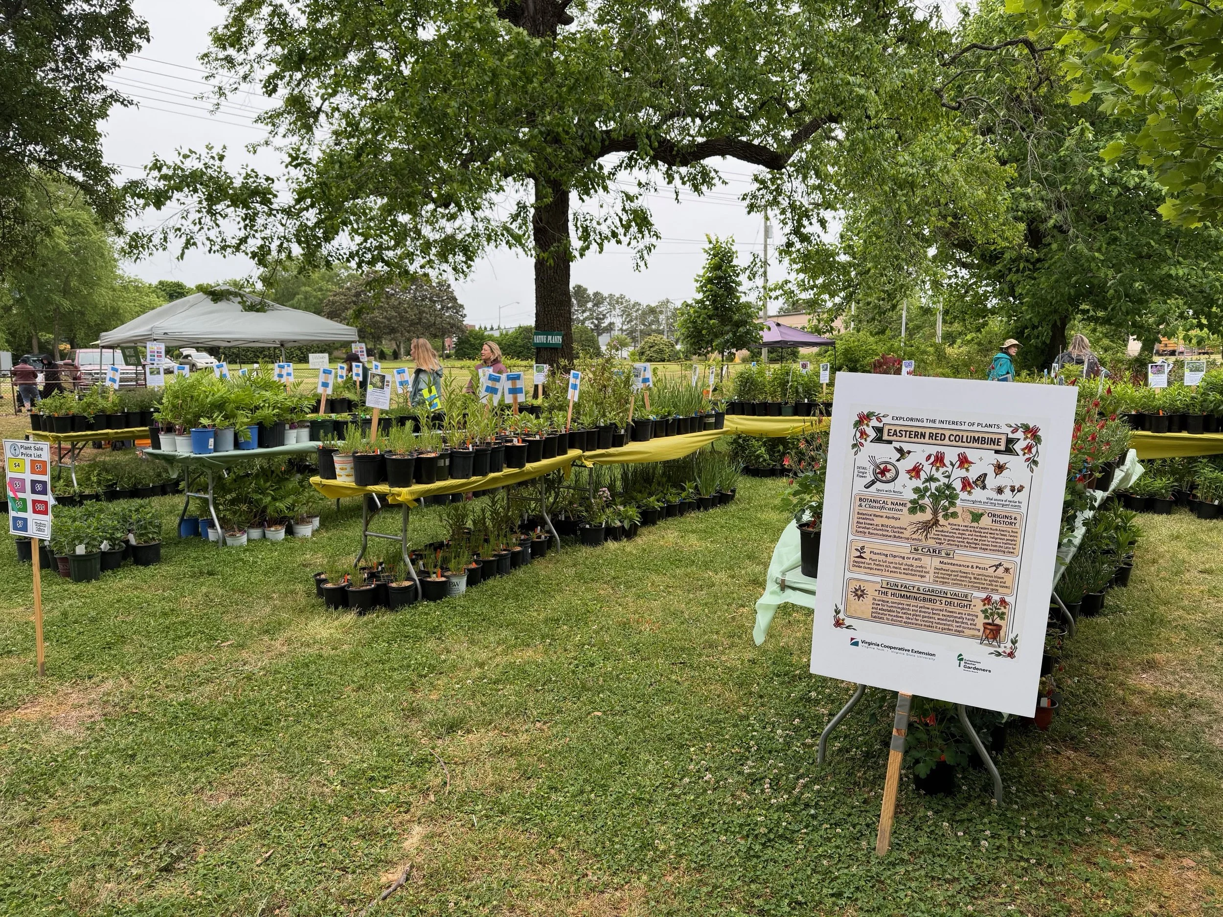 Plant Sale plants
