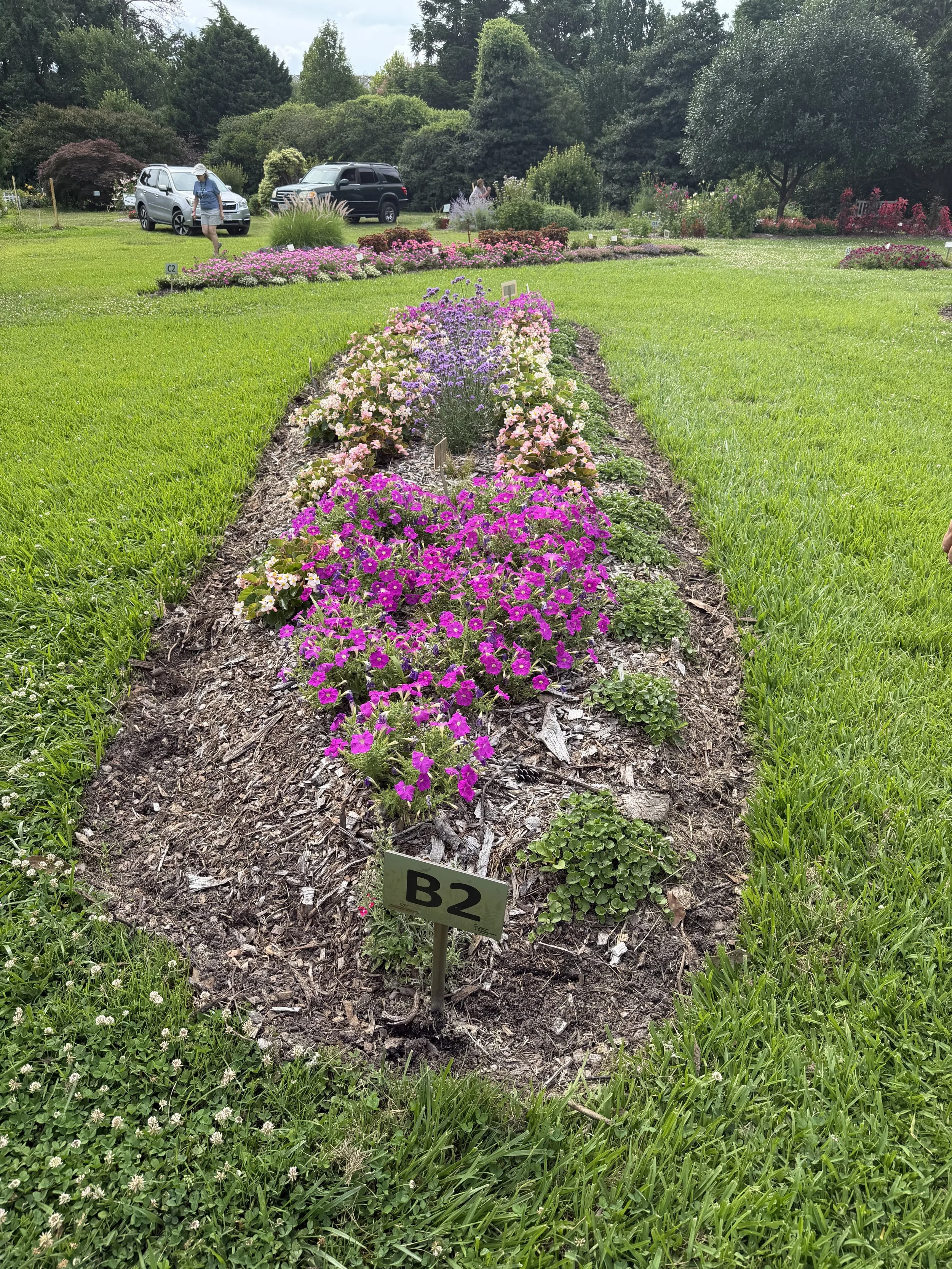 Trial Garden bed