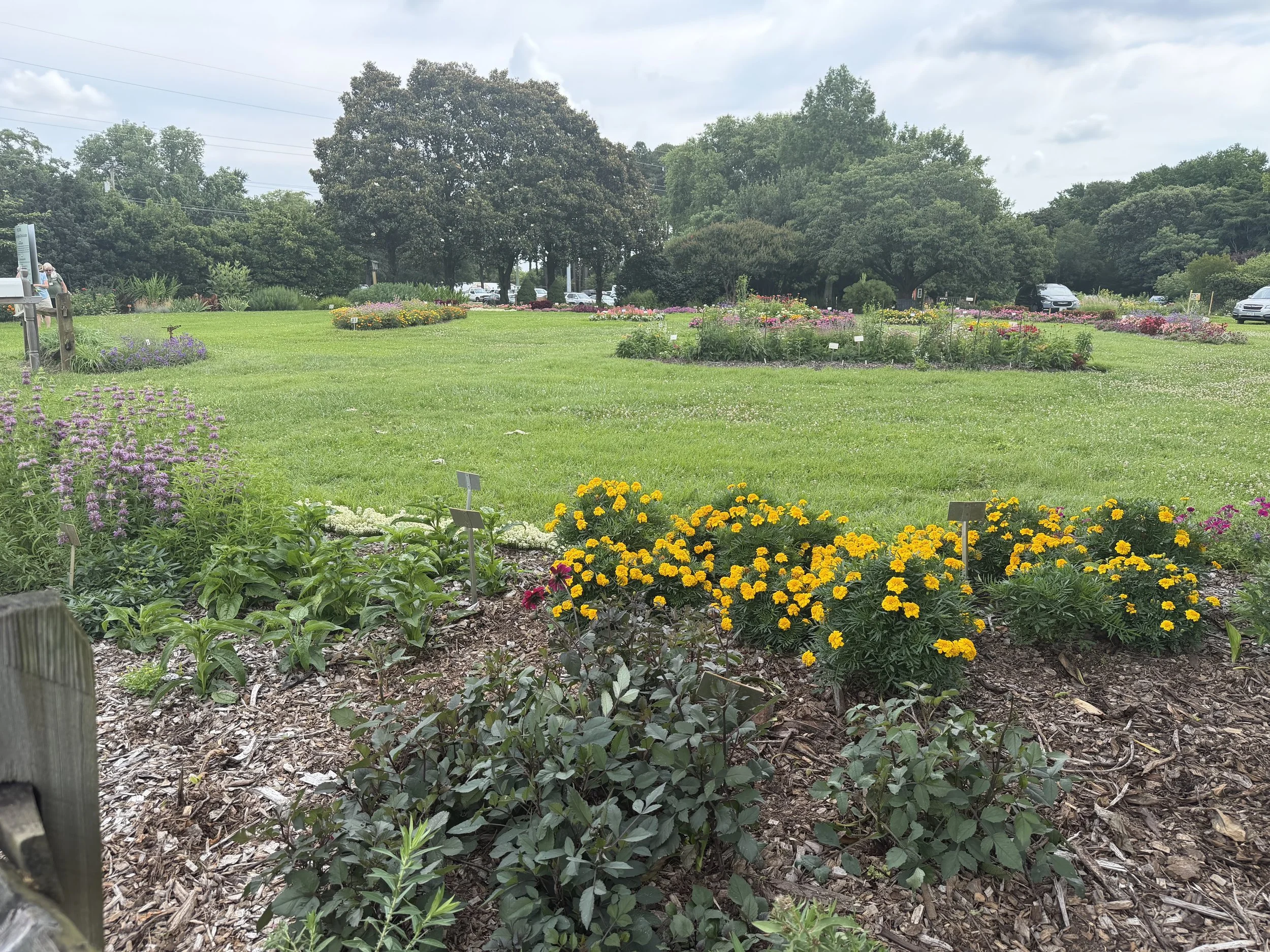 View of trial garden beds