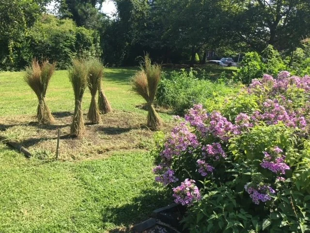 Gardens at Francis Land House