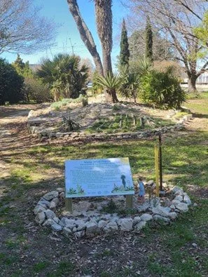 Picture of tree in Arboretum