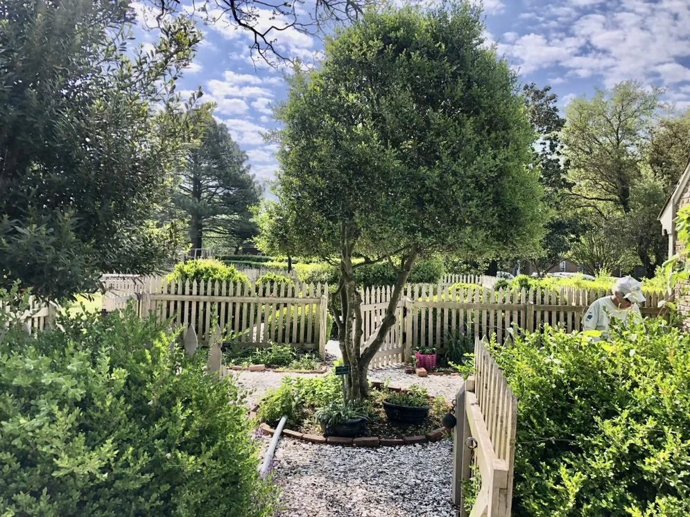 Herb Gardens at Francis Land House