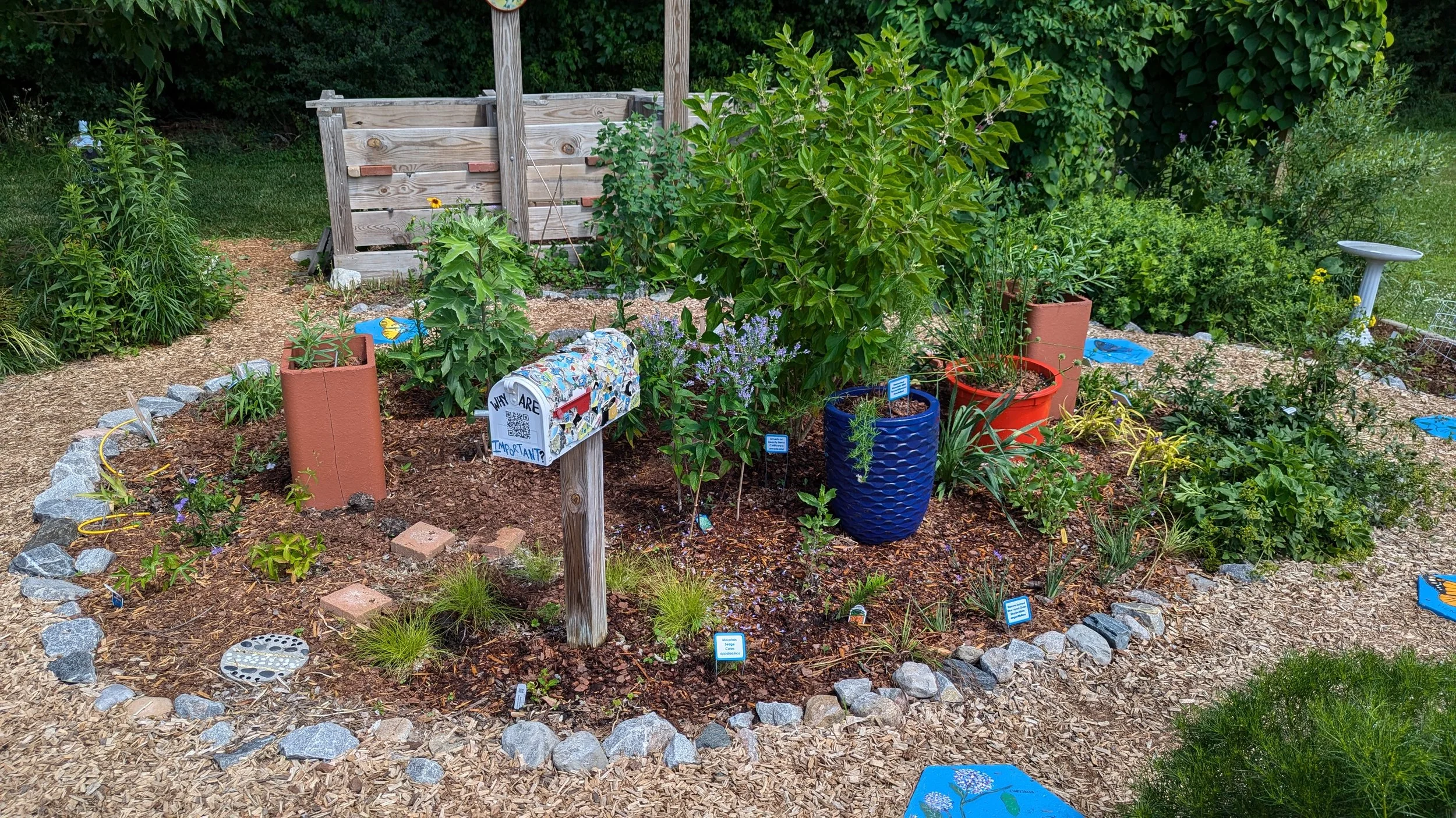 Native Bed at Farmers Market