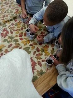 student planting seeds in cup