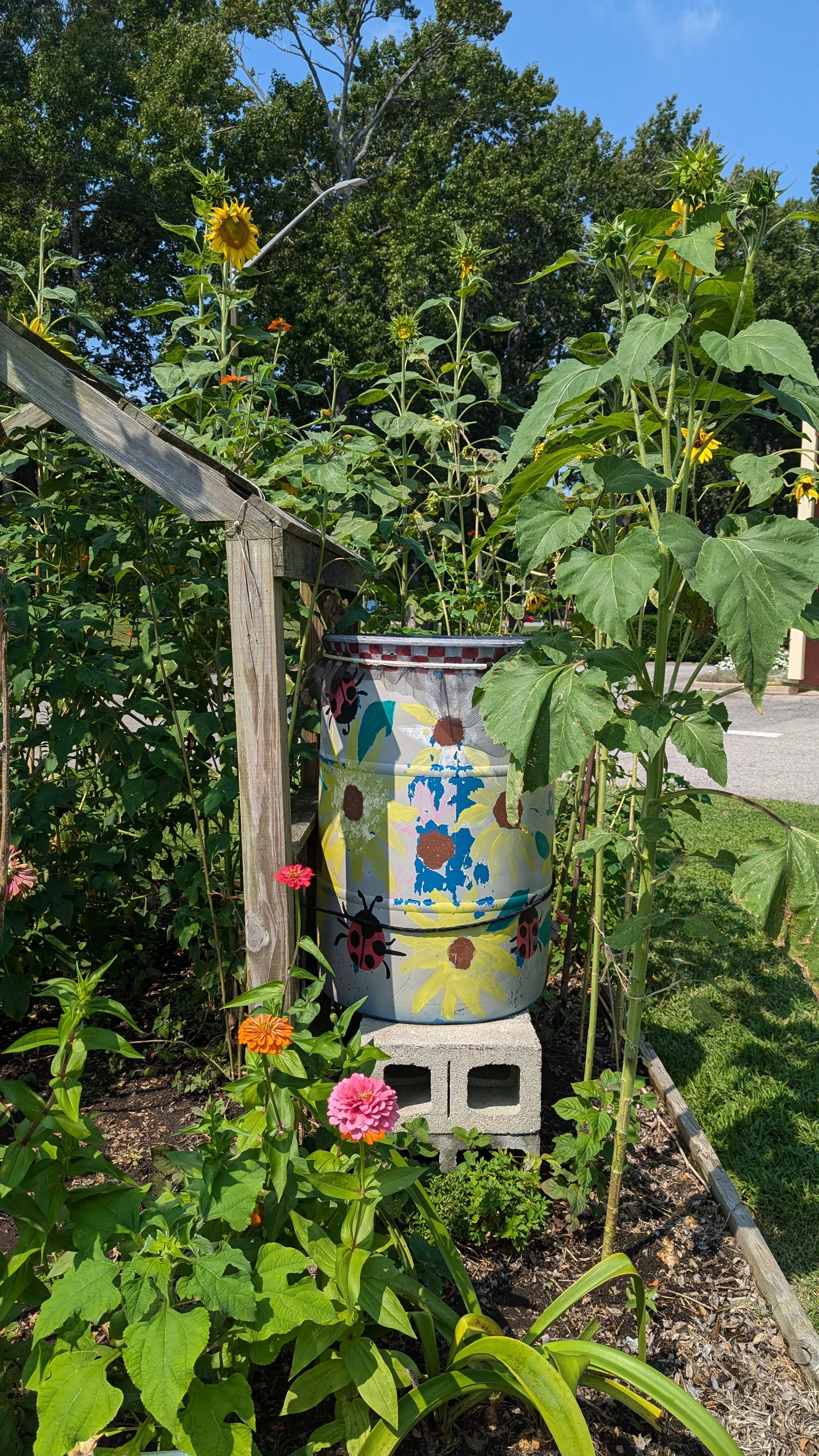 Rain Barrel in a sunflower garden