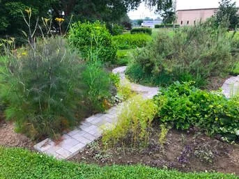 Herb Garden