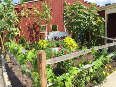 4 sisters garden at the Farmers Market