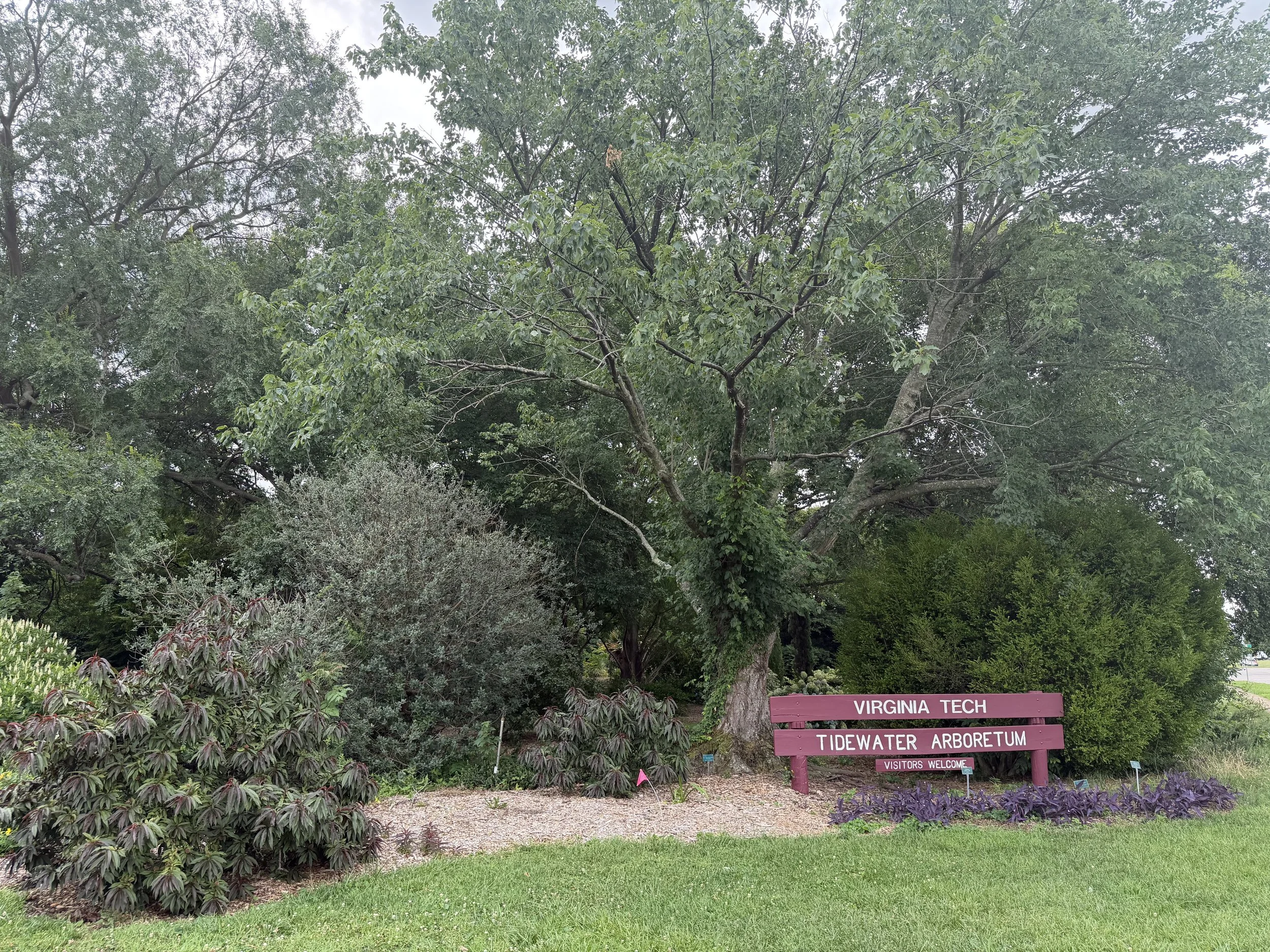 Arboretum entrance at AREC