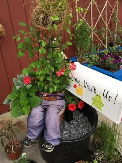 Planter with red flowers and children's pants