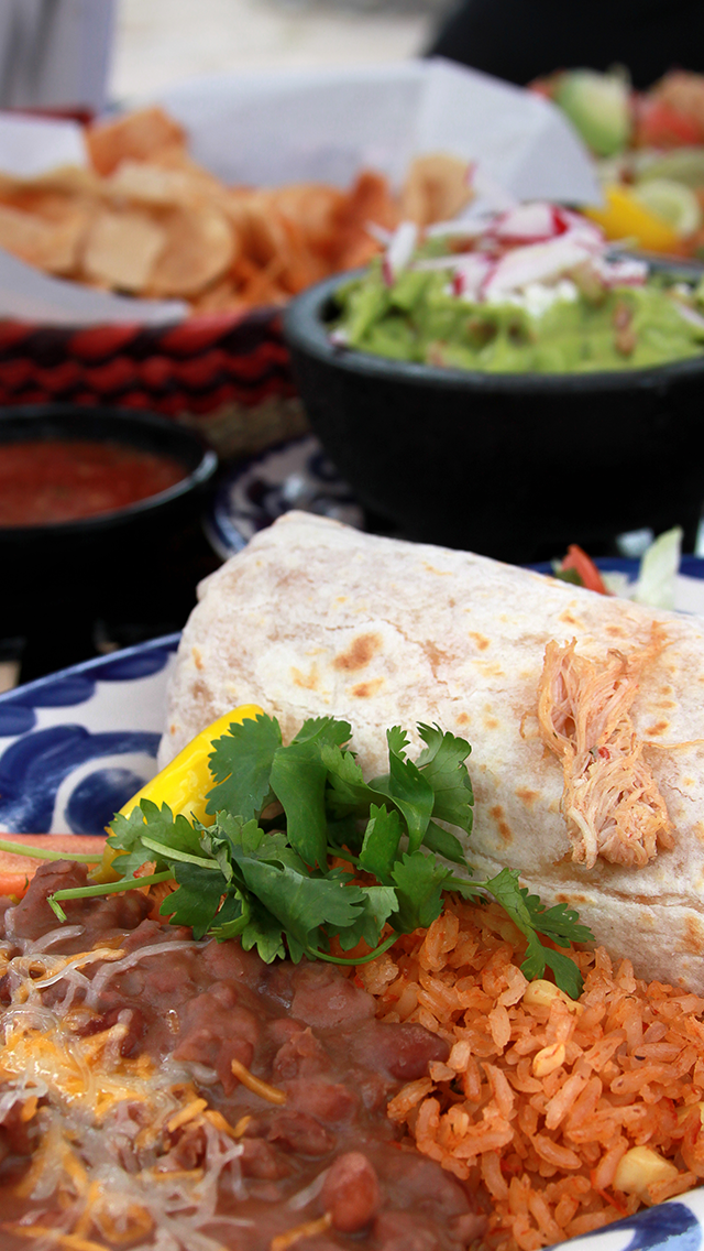 Close-up of Mexican food including rice, shredded chicken burrito, refried beans with cheese, and garnished with cilantro, served on a decorative plate with a side salad and chips in the background.