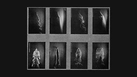 Marey 1900: smoke trails reveal air flow patterns around objects of different shapes – chronophotography